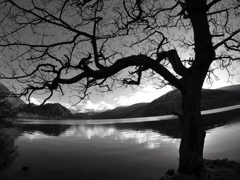 Bare tree by lake against sky