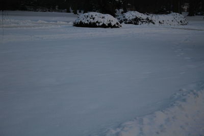 Snow covered landscape
