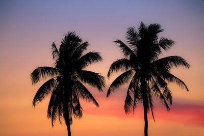 Silhouette palm trees against the sky