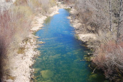 High angle view of river amidst trees