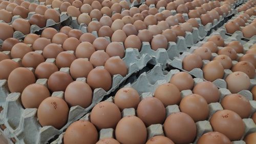High angle view of eggs for sale at market stall
