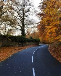 Road amidst bare trees during autumn