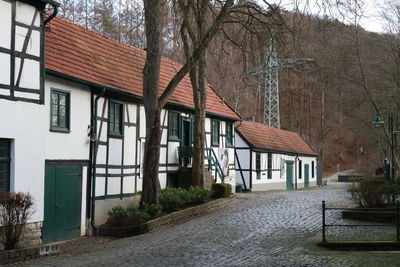 Houses by street amidst trees against sky