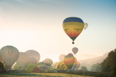 Hot air balloons flying in sky