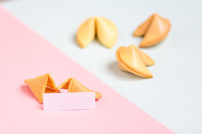 Close-up of cake against white background