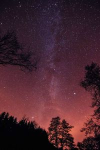 Low angle view of silhouette trees against star field