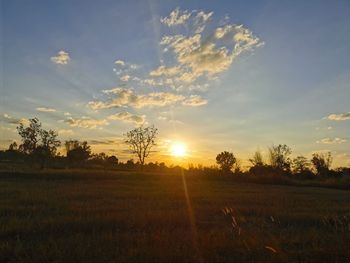 Scenic view of field against sky during sunset