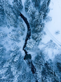 High angle view of snow on trees and field