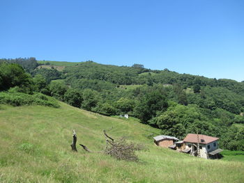 Scenic view of field against clear sky