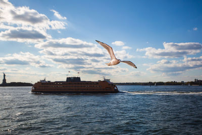 Bird flying over sea against sky