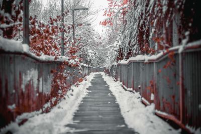 Snowy road way