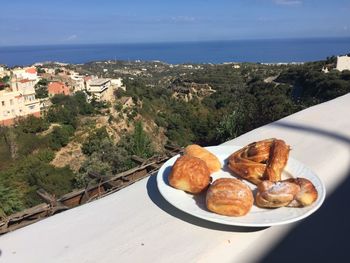 High angle view of chicken by sea against sky