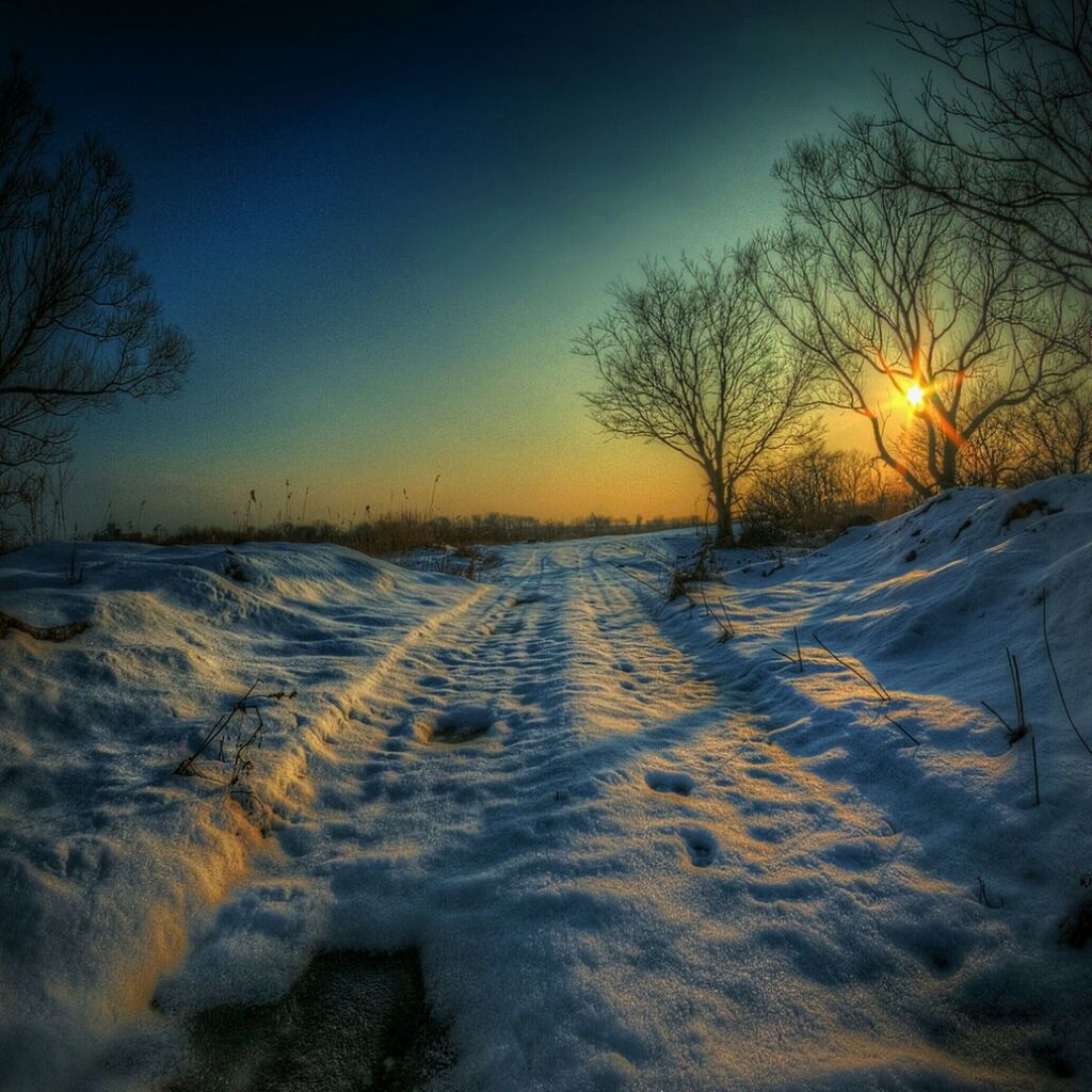 snow, winter, cold temperature, sunset, bare tree, tree, sun, season, tranquility, tranquil scene, nature, covering, scenics, clear sky, beauty in nature, landscape, sky, silhouette, weather, field