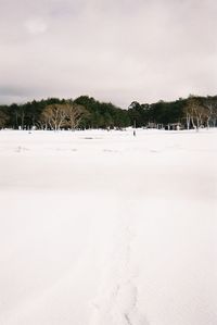 winter