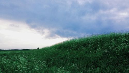 Scenic view of grassy field against cloudy sky