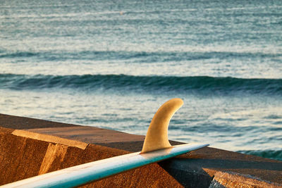 Close-up of wooden railing on beach