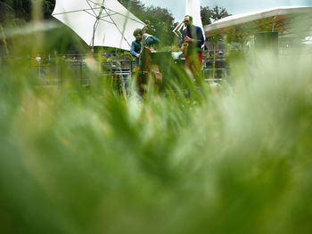 People working on field