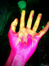 Close-up of hand with pink petals