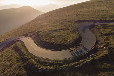 Herd of cows crossing transalpina mountain road, at sunrise