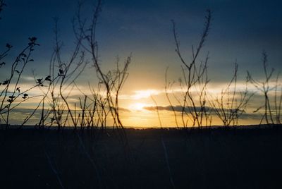 Scenic view of silhouette field against sky at sunset