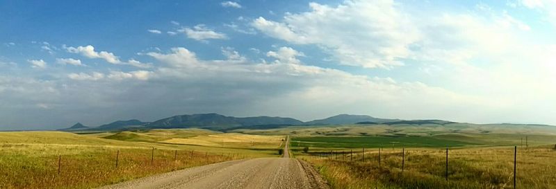 Surface level of country road