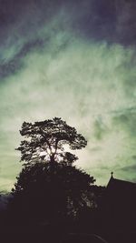 Low angle view of trees against cloudy sky