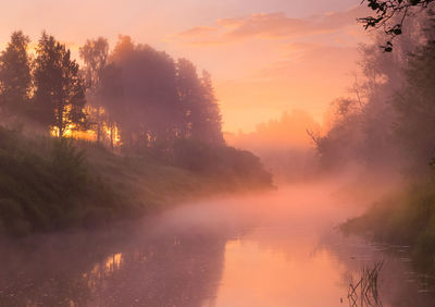 A beautiful spring river landscape with morning fog.