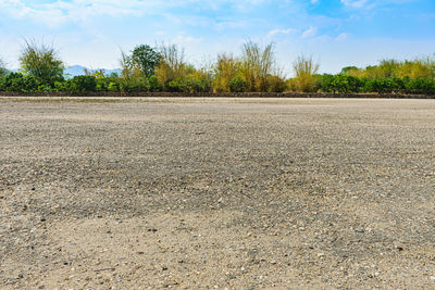 Surface level of road amidst trees on field against sky