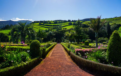 Scenic view of flowering plants and trees on field against sky