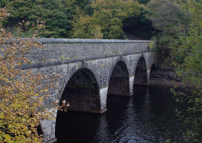 Arch bridge over creek in park