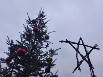 Low angle view of tree against sky