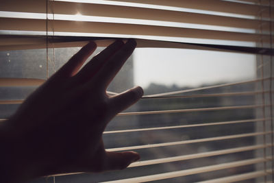 Cropped hand touching window blinds at home