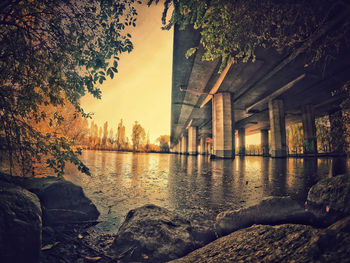 Scenic view of trees against sky