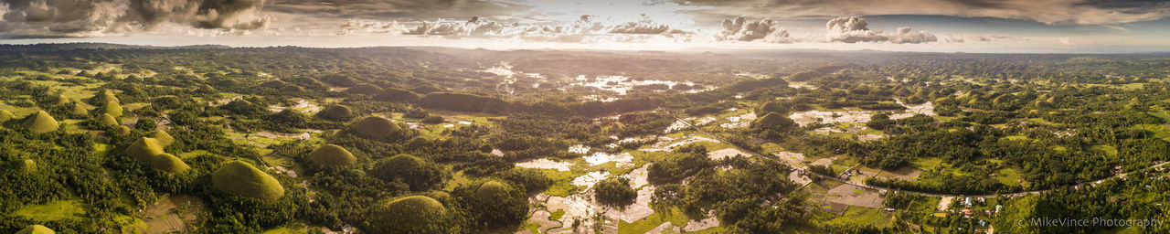 Panoramic view of trees in city against sky