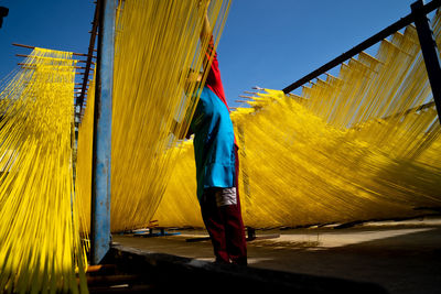 Rear view of man making yellow noodles 
