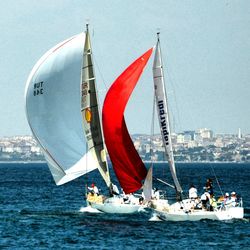 Sailboat sailing in sea against sky