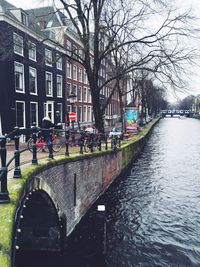 Canal passing through a forest