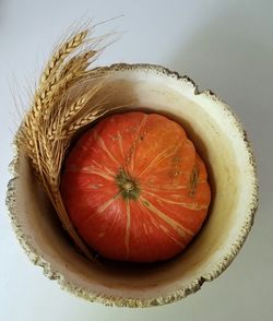 Close-up of fruit over white background