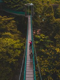 High angle view of people photographing on footbridge amidst trees