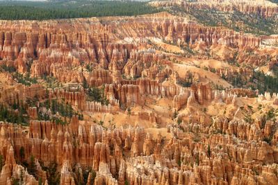 High angle view of trees on landscape