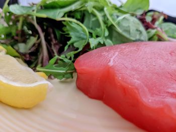 Close-up of fresh salad in plate