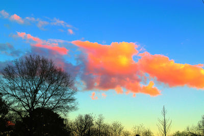 Low angle view of silhouette trees against blue sky