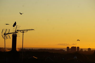 Silhouette birds flying against sky during sunset