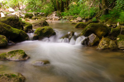 Stream flowing through rocks in forest