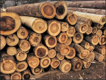 Stack of logs