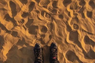 Low section of person standing on sand at beach