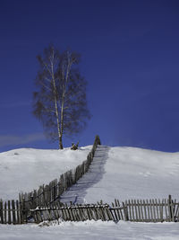 Scenic view of snow covered land and trees against sky