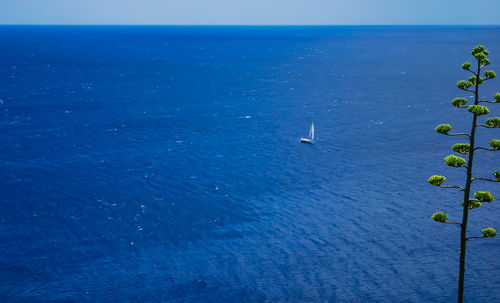 Scenic view of sea against blue sky