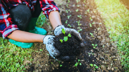 Midsection of woman holding plant