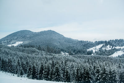 Landscape of mountains and forest during winter in romania heavy snow